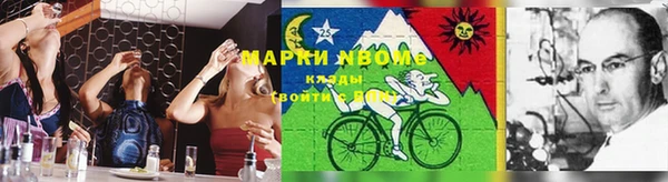 индика Богородск
