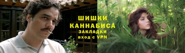 индика Богородск