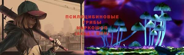 соль ск Верея