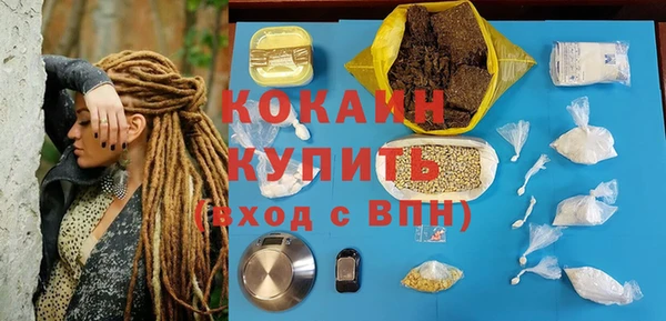 гашик Заводоуковск