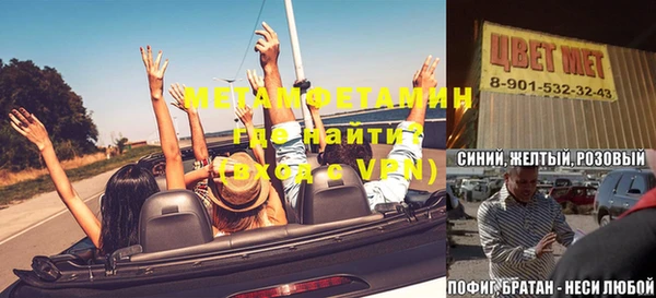 индика Богородск