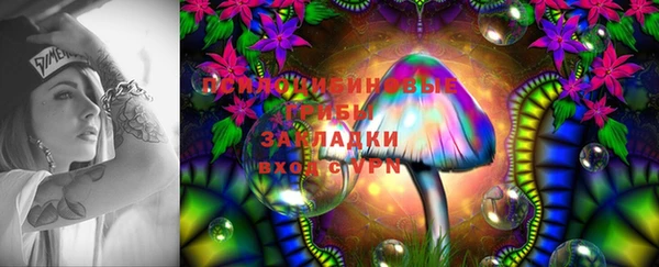 apvp Лихославль
