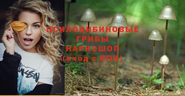 трава Бородино