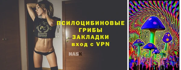 хмурый Верхний Тагил