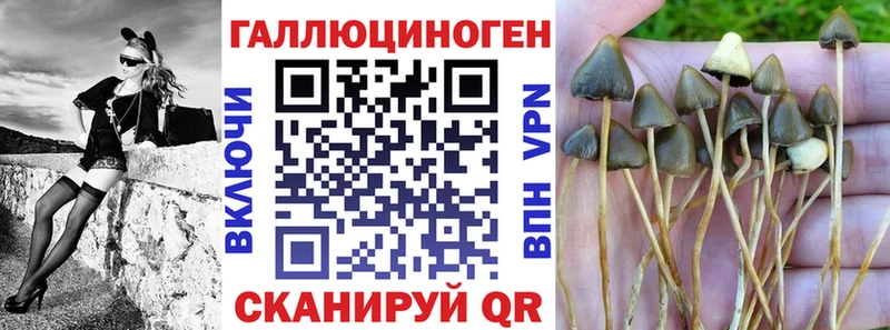 Псилоцибиновые грибы мицелий  наркота  Дагестанские Огни 