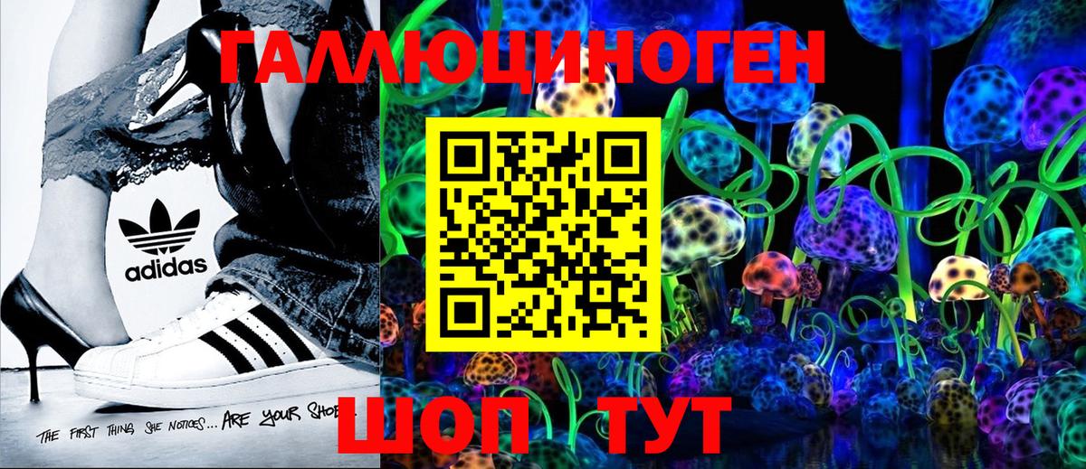 Галлюциногенные грибы Psilocybe  Вход с VPN  Дагестанские Огни 